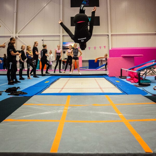 Landing mat_2 Landematte